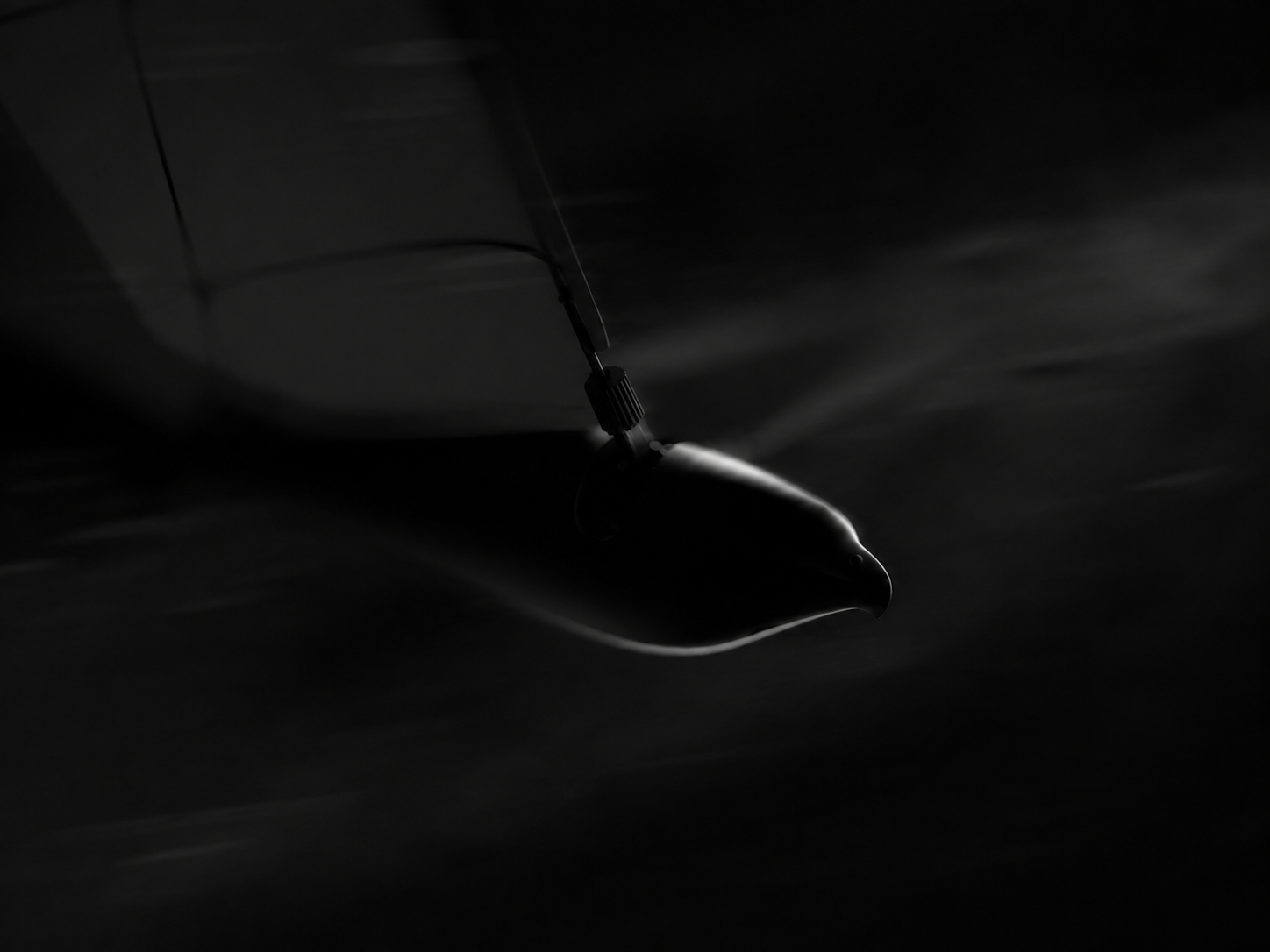 ESD Eagle X Mini bionic ornithopter