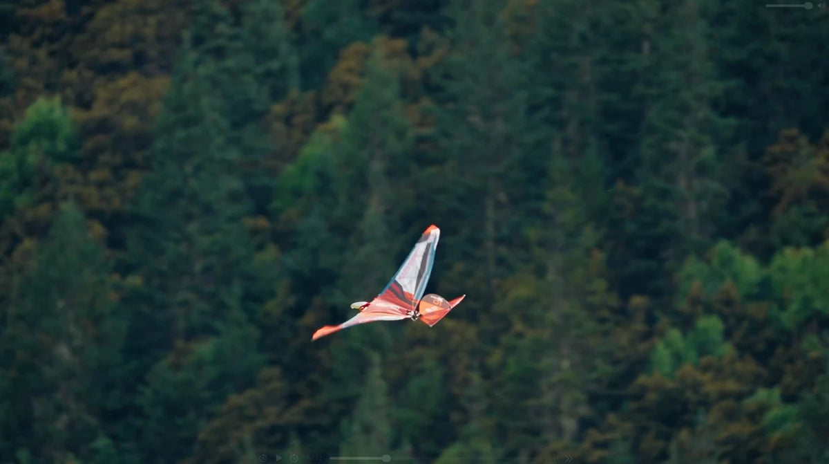 EAGLE X flying in front of forested hills