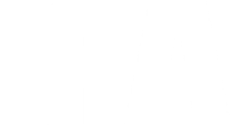 IFA